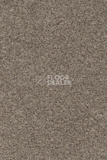 Ковролин AW Stainguard Harvest 31 фото 1 | FLOORDEALER